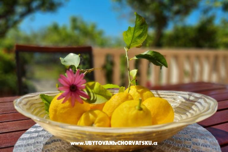 Apartmaji Diridonda – foto 46