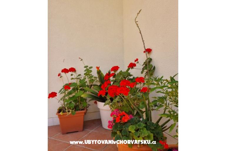 Apartmaji Diridonda – foto 48