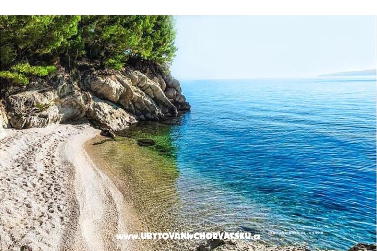 Apartmaji LIKI – foto 40