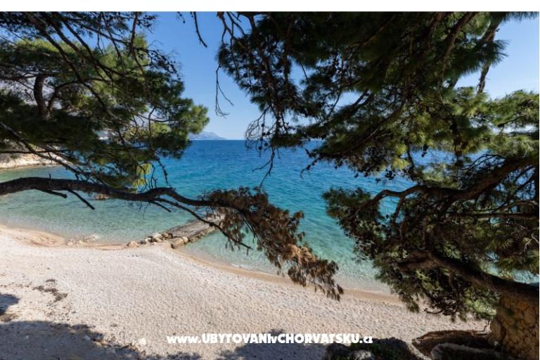 Apartmaji LIKI – foto 44
