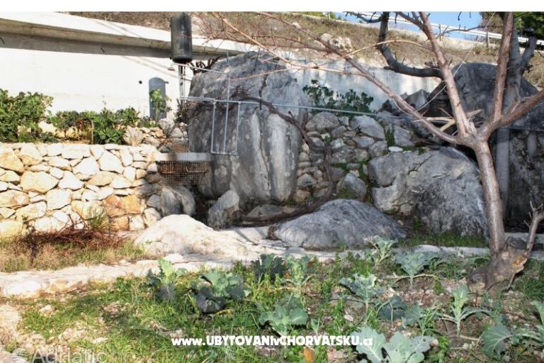 Apartmaji Luka – foto 11