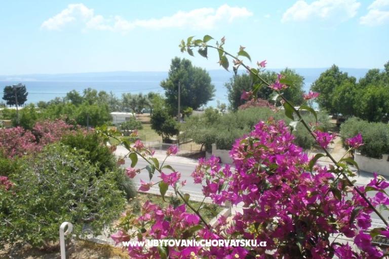 Apartmaji Merion – foto 7