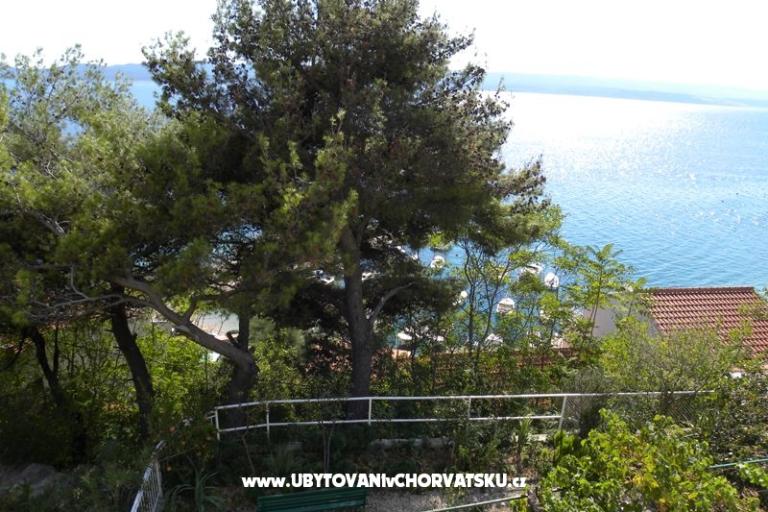 Boženka Hiša – foto 4