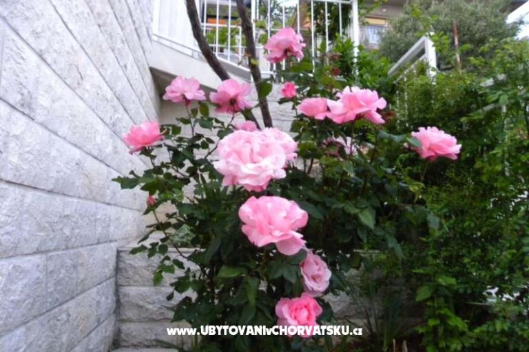 Boženka Hiša – foto 6
