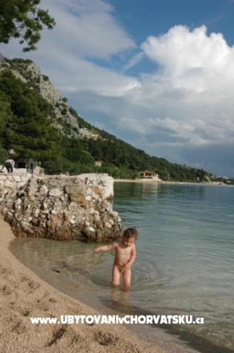  Calypso Diving Apartmaji – foto 8