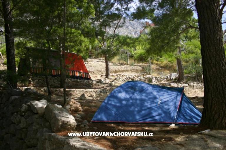 Kamp Artina – foto 2
