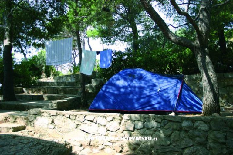 Kamp Artina – foto 3