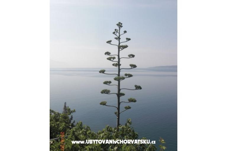 Apartmaji Culjak  Omiš Marušići – foto 3
