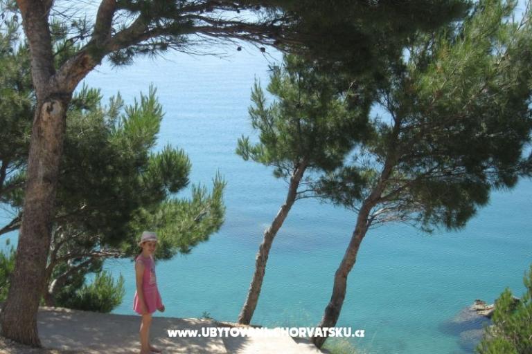 Hiša Kuzmanić – foto 11