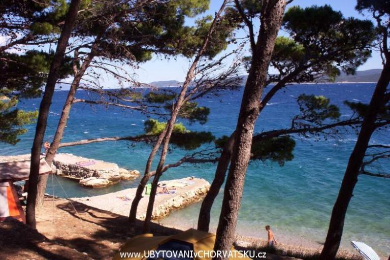 KEMP Daniel – foto 3