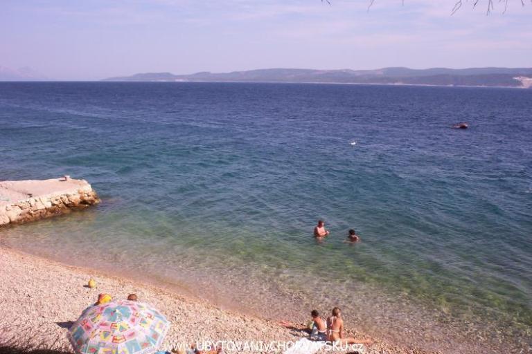 KEMP Daniel – foto 4