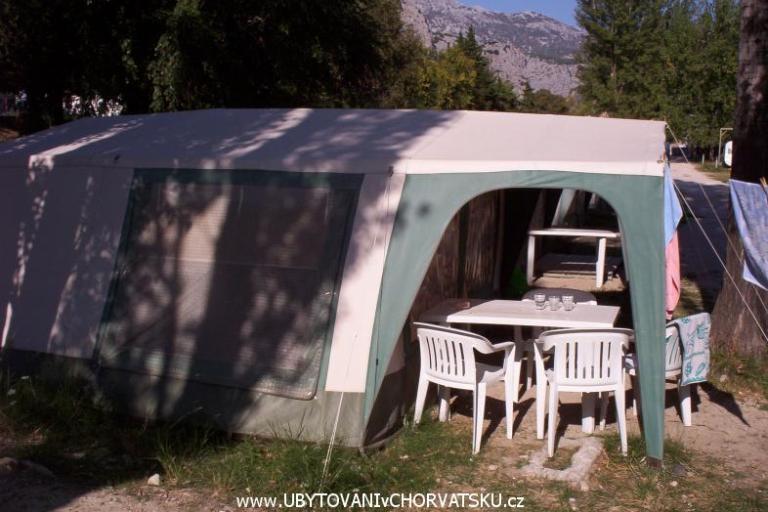 KEMP Daniel – foto 6