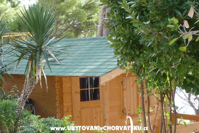 KEMP Daniel – foto 8