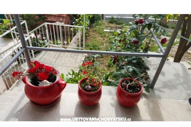 Apartma Mačak – foto 15