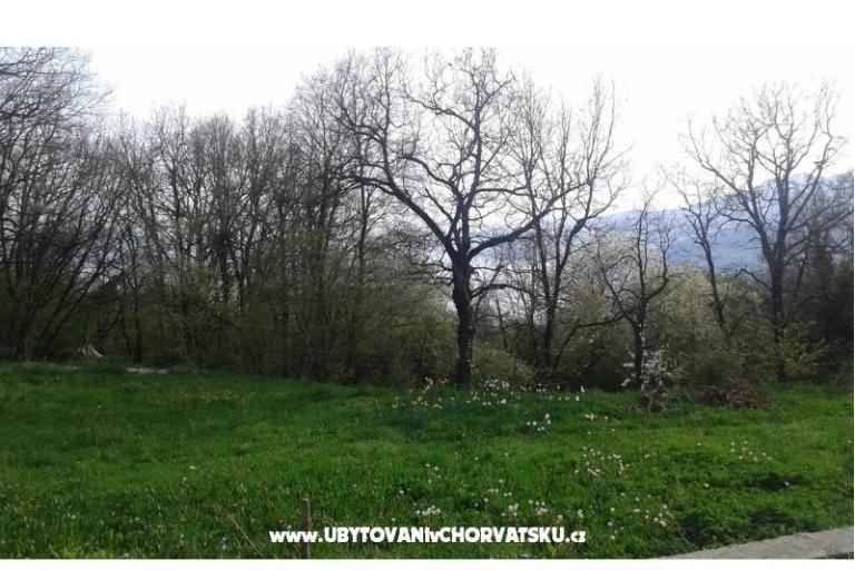 Apartma AS ROYAL – foto 4