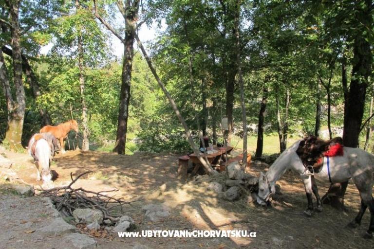 Apartma Filipović Kastav – foto 18