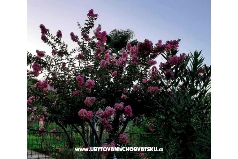 Apartma Rubin – foto 16