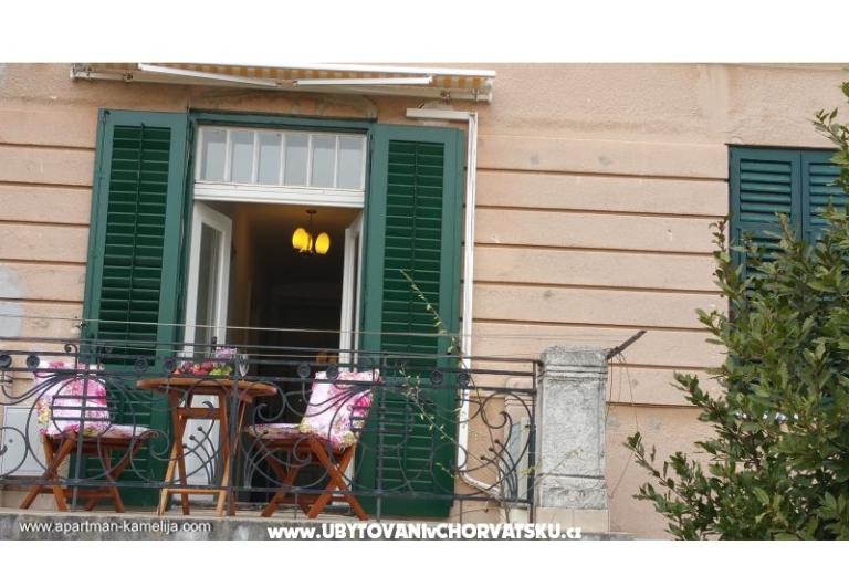 Apartma Kamelija – foto 14