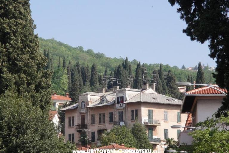 Apartma Kamelija – foto 15