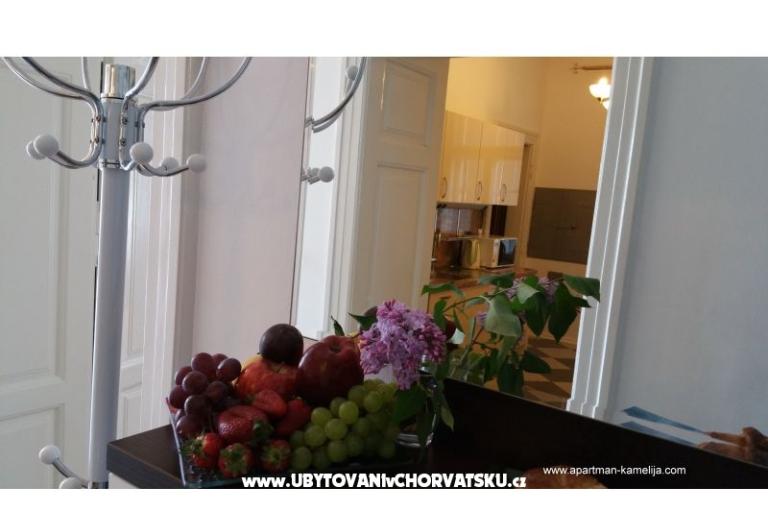 Apartma Kamelija – foto 9