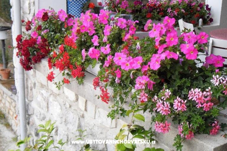 Apartmaji Kestenovi dvori – foto 15