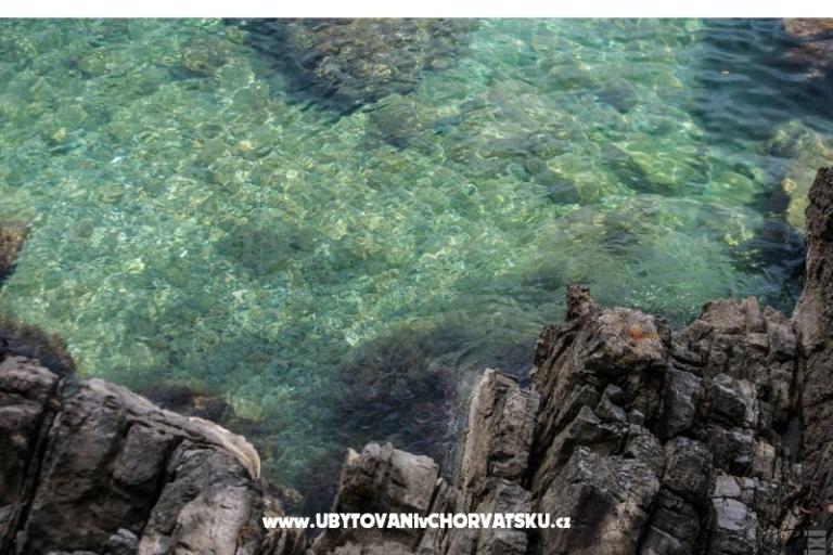 Garden of Pleasure – foto 4