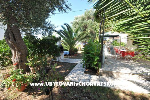 Apartma Djapo – foto 6
