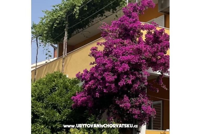 Apartmaji  Ante – foto 10