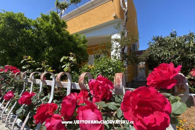 Apartmaji  Ante – foto 12