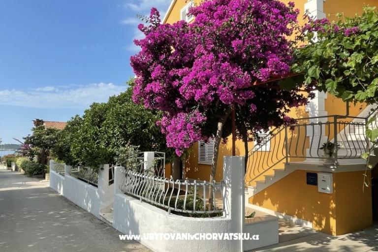 Apartmaji  Ante – foto 8