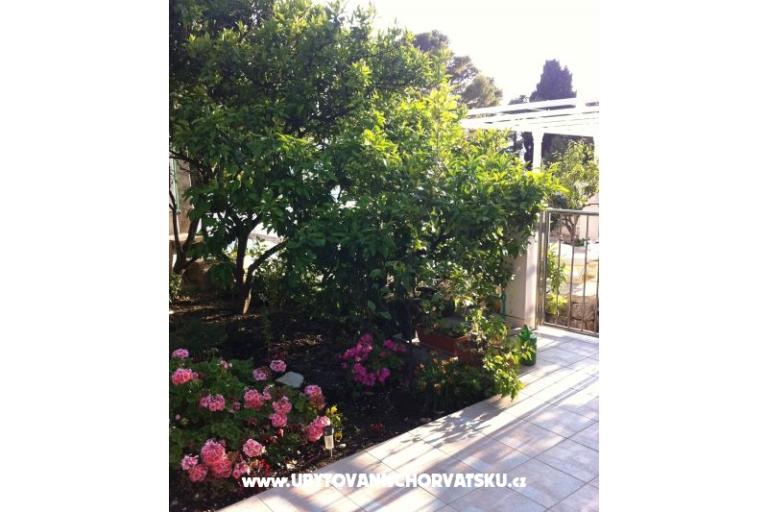 Apartmaji surf in Viganj – foto 15