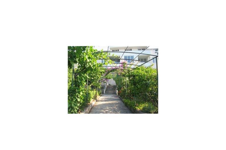 Apartmaji Šurjak – foto 14