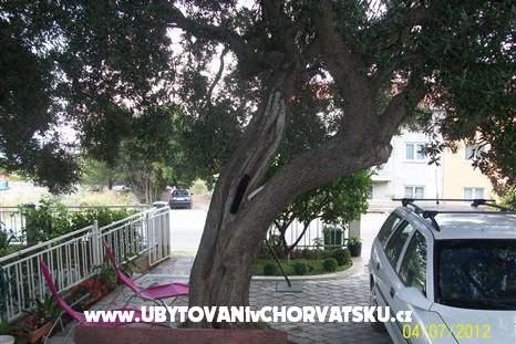 Apartmaji Tanja – foto 6