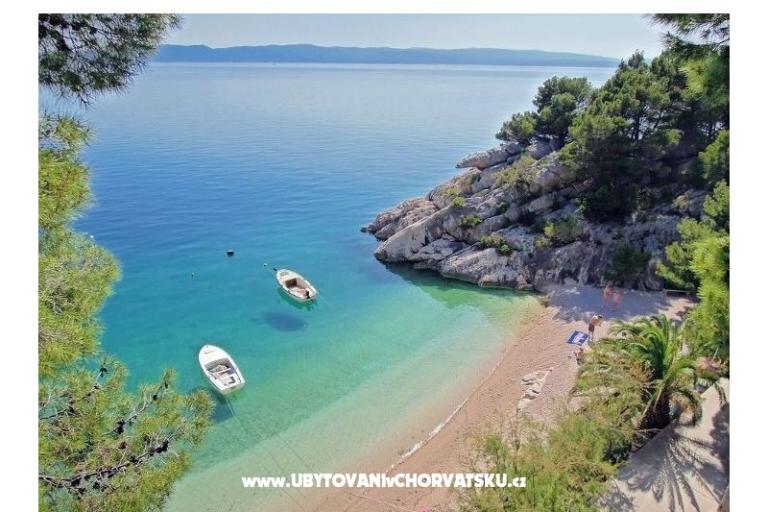 Apartmaji Zona – foto 16