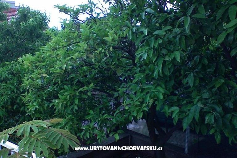 Apartmaji Zorka – foto 13