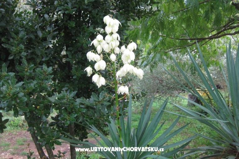 Apartmaji Mratović – foto 17