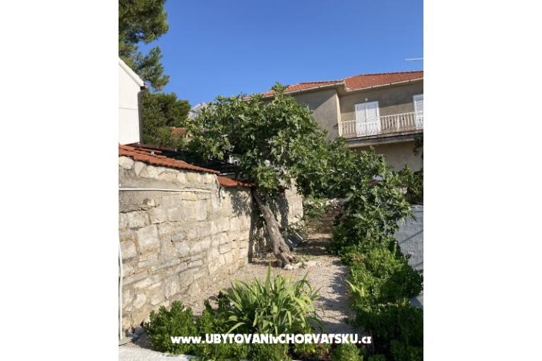 Apartmaji Ruvo – foto 14
