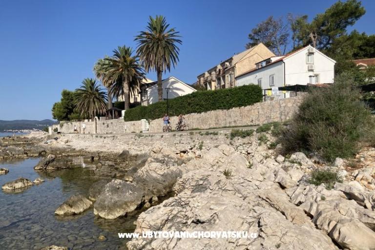 Apartmaji Ruvo – foto 15
