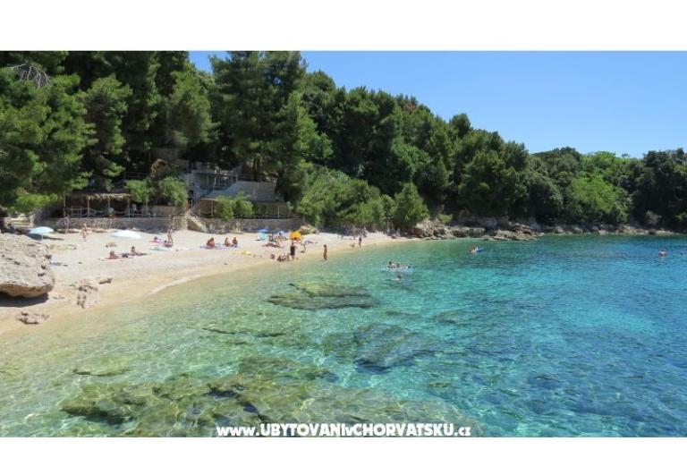 Kamp &amp; Apartmaji Vala – foto 15