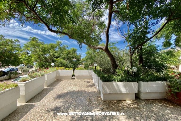 Apartmaji ANA – foto 12