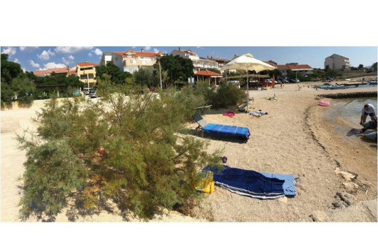 Apartmaji ANA – foto 20