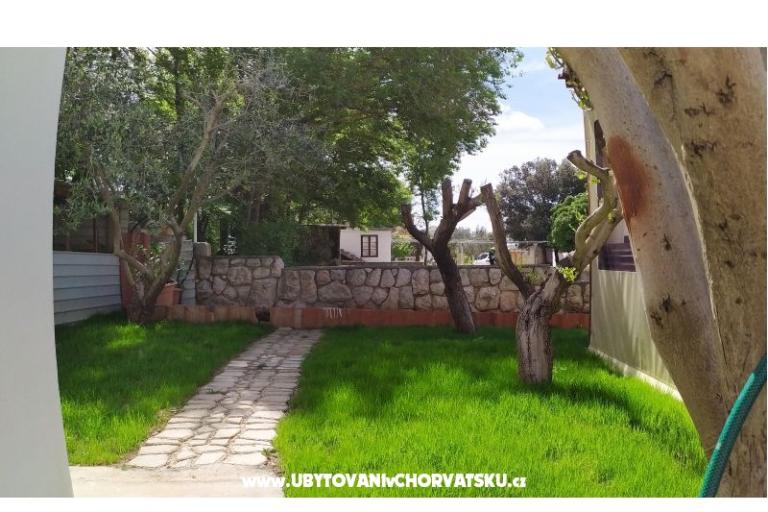 Apartmaji Andreja – foto 12