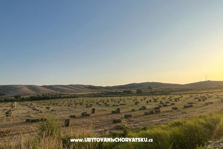 Apartmaji Anica – foto 42