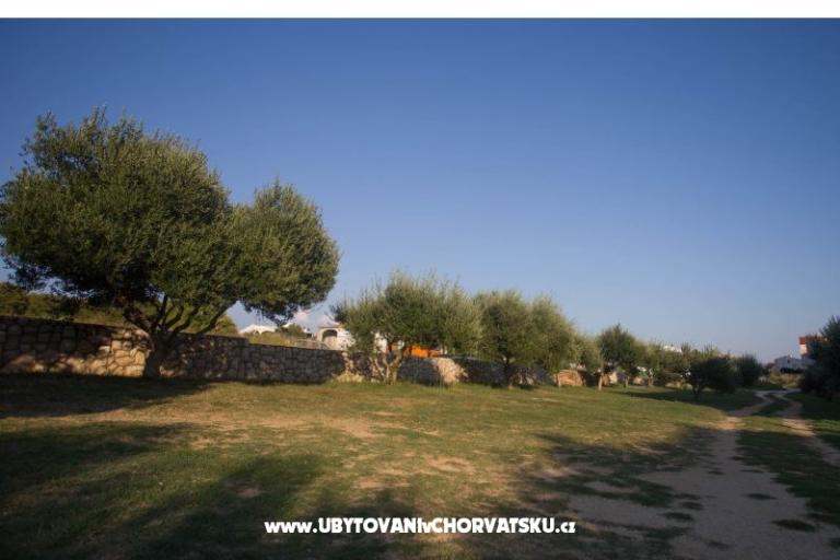 Apartmaji Dobre – foto 13
