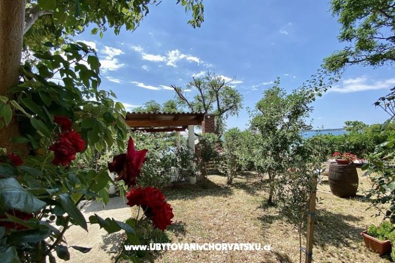 Apartmaji FRANE – foto 24
