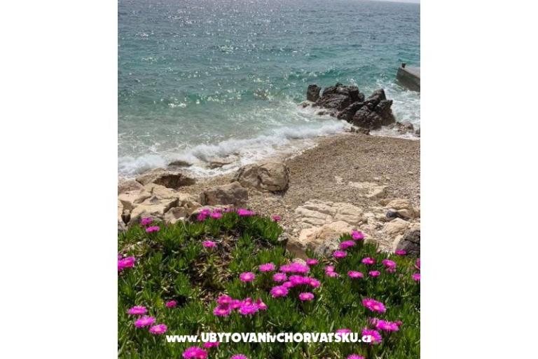 Apartmaji Marijana Mandre – foto 17