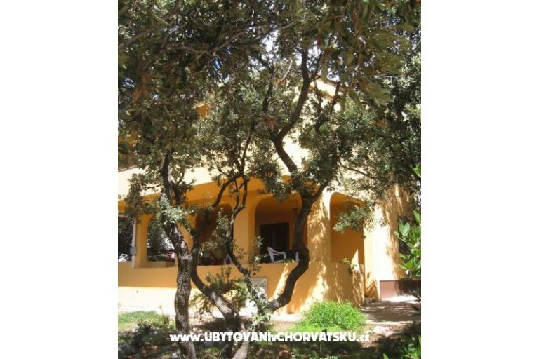 Apartmaji Marijana Mandre – foto 3