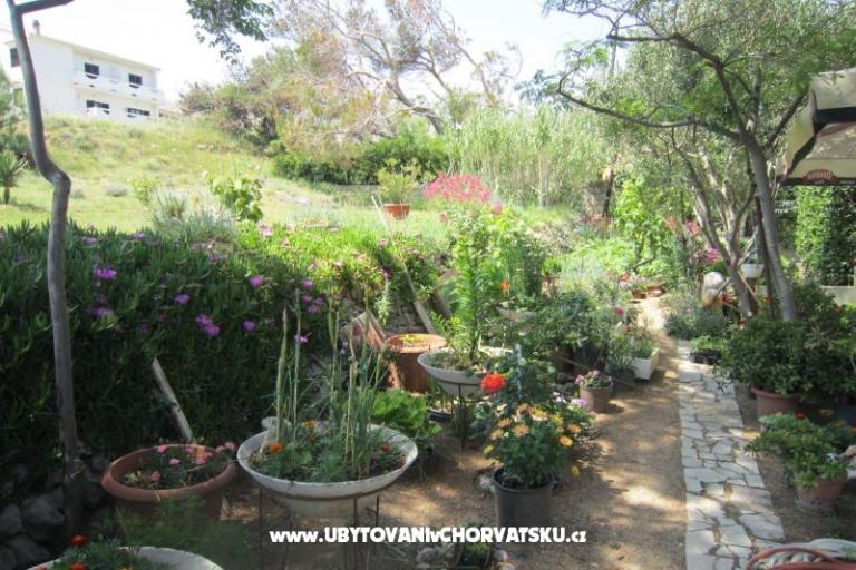 Apartmaji Mediteran Pag – foto 10