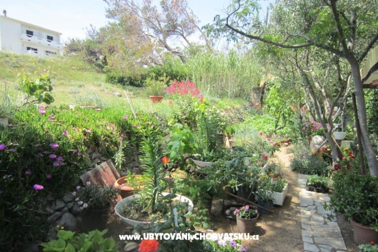 Apartmaji Mediteran Pag – foto 11