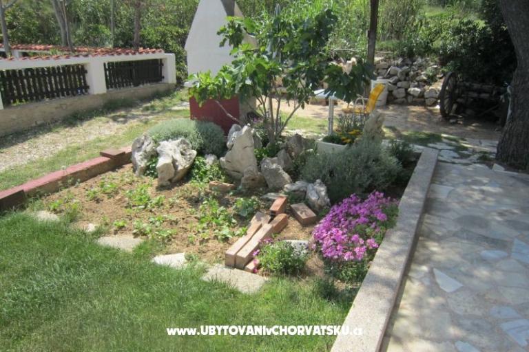 Apartmaji Mediteran Pag – foto 7